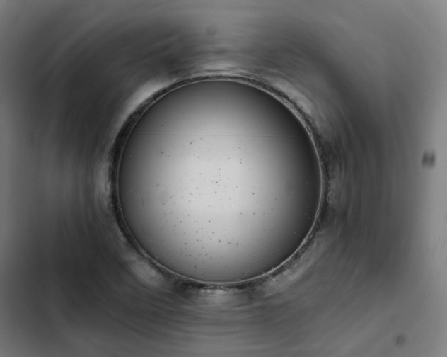 X0000103271458200809051456