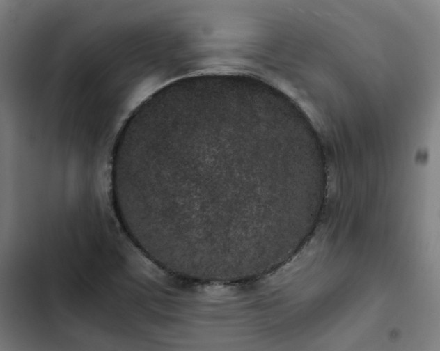X0000103271459200809051456