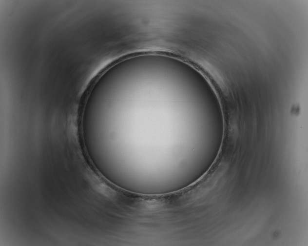 X0000103271460200809051456