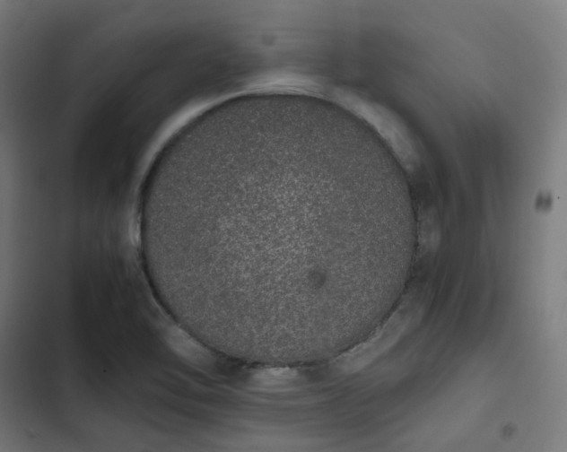 X0000103271462200809051456