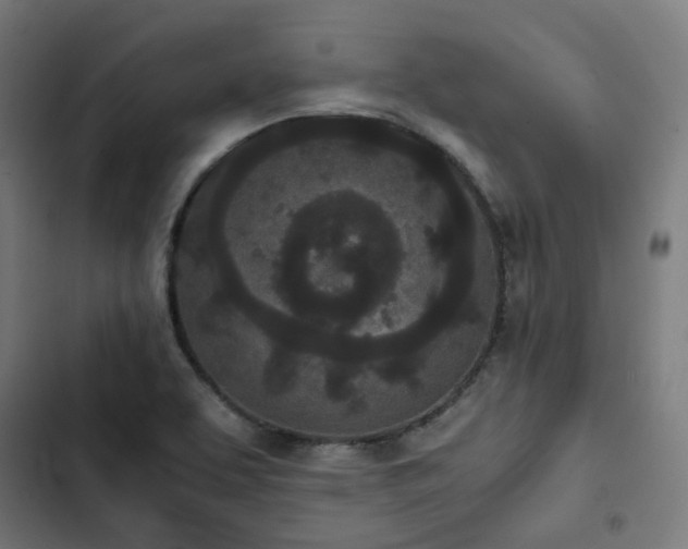 X0000103271463200809051456