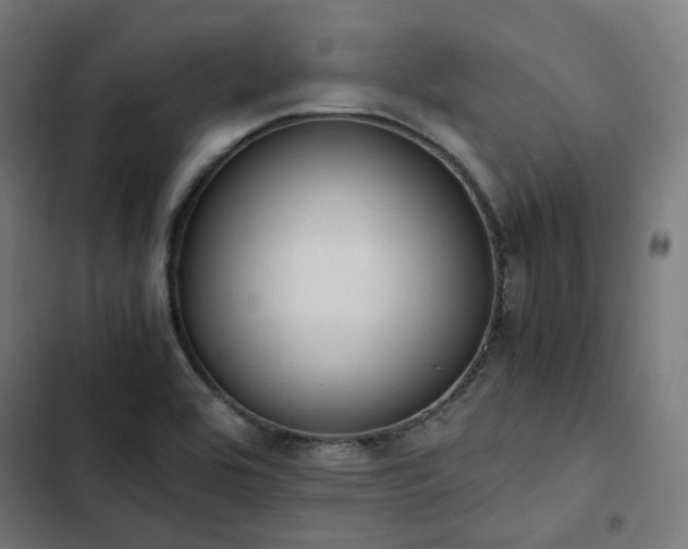 X0000103271464200809051456