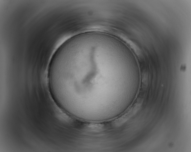 X0000103271466200809051456