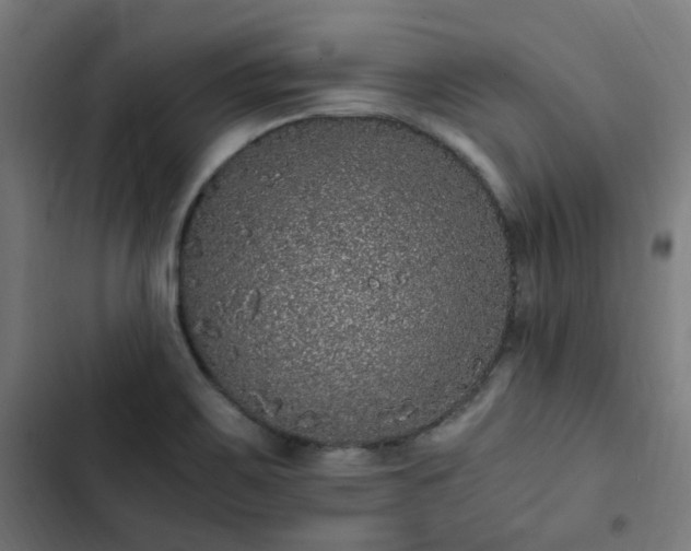 X0000103271467200809051456