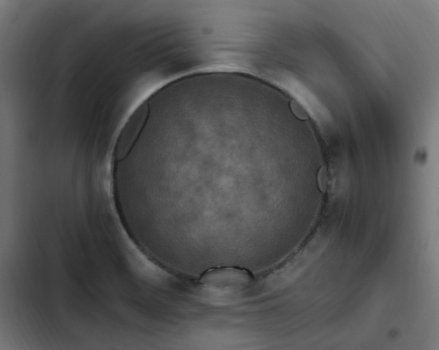 X0000103271468200809051456