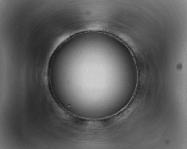 X0000103271469200809051455