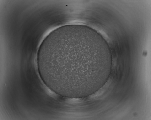 X0000103271470200809051455