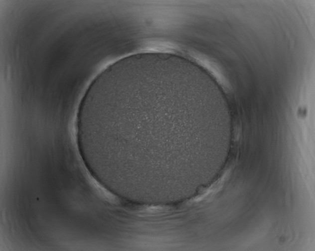 X0000103271471200809051455