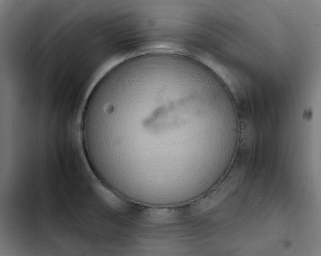 X0000103271474200809051455