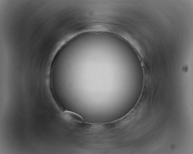 X0000103271477200809051455