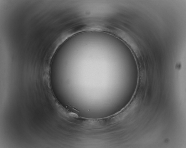 X0000103271481200809051455