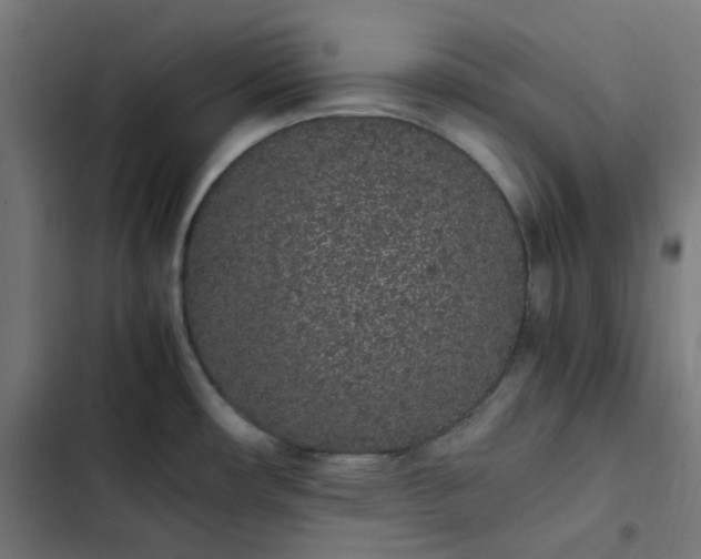 X0000103271482200809051455
