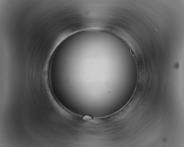 X0000103271483200809051455