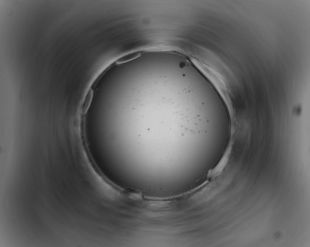 X0000103271484200809051455