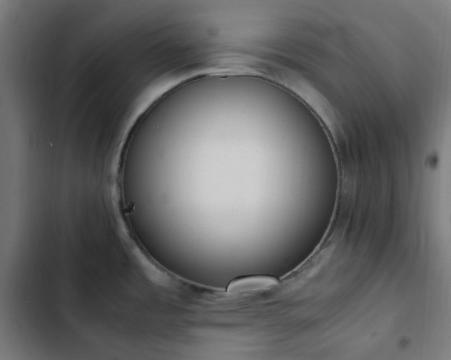 X0000103271485200809051455
