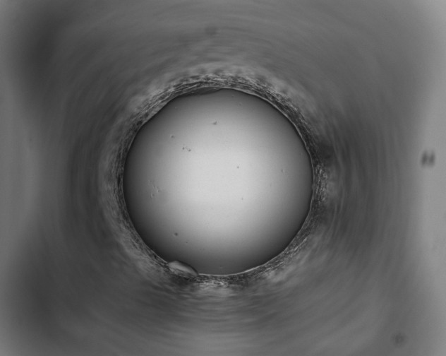 X0000103271489200809051455