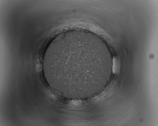 X0000103271491200809051455