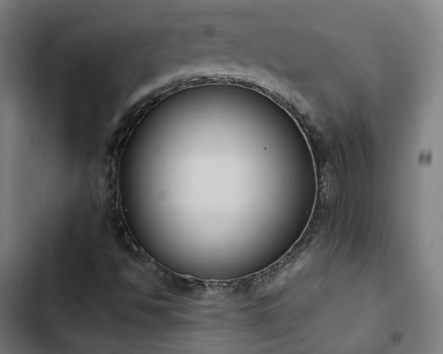 X0000103271494200809051455