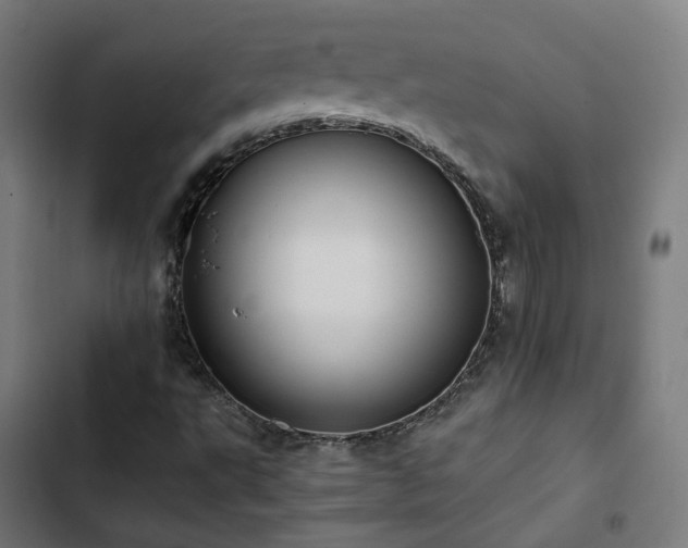 X0000103271495200809051455
