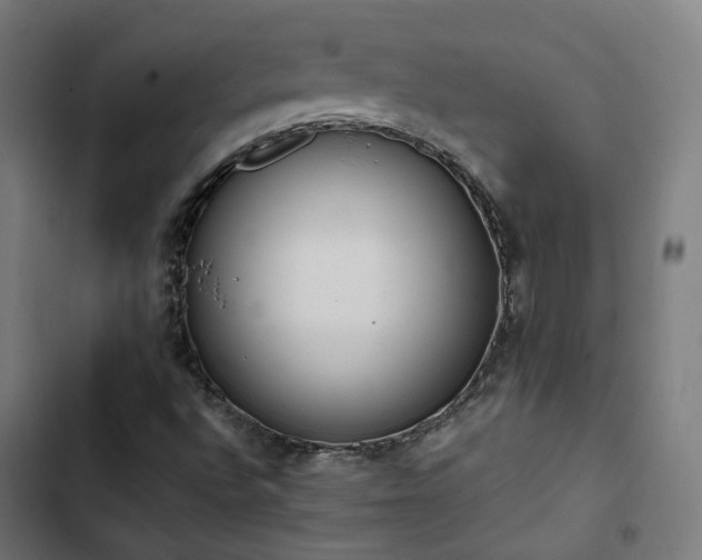 X0000103271496200809051455