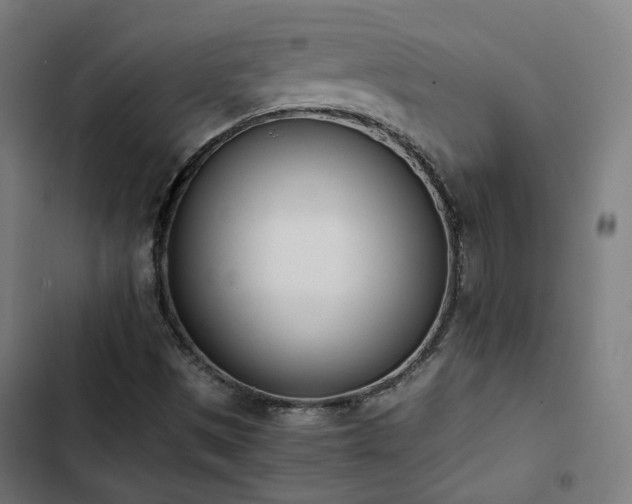 X0000103271497200809051455