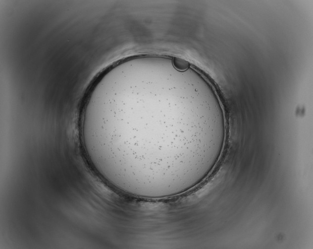 X0000103271498200809051455