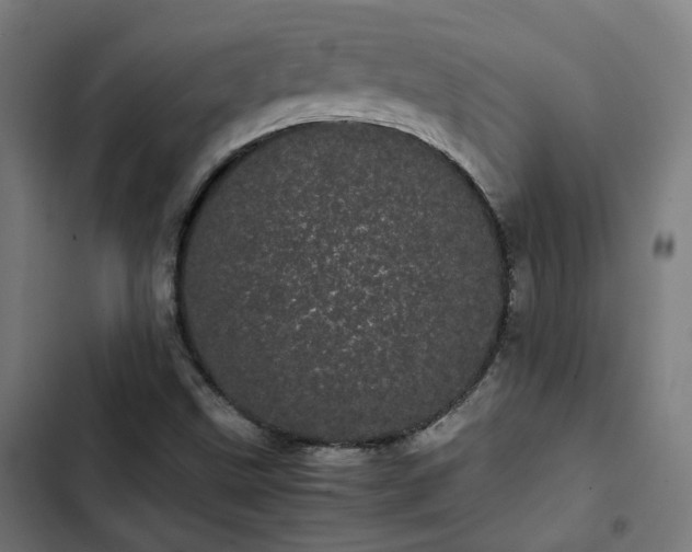 X0000103271499200809051455