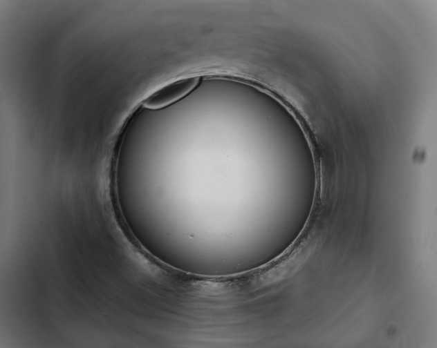 X0000103271500200809051455