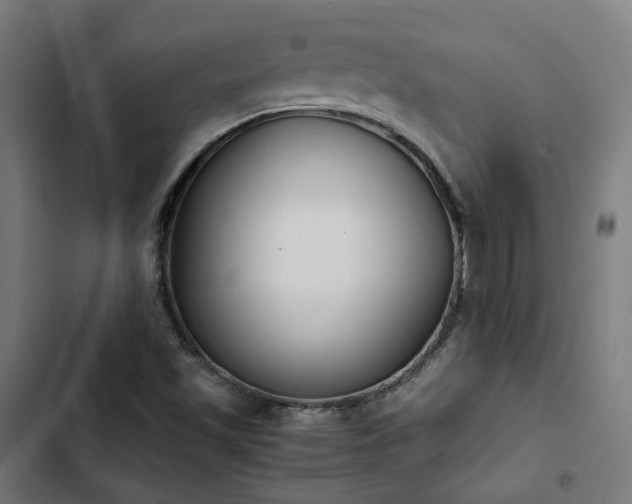 X0000103271501200809051455