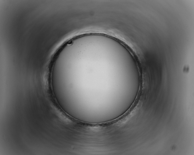 X0000103271502200809051455