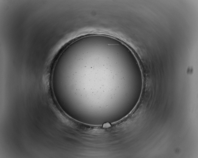 X0000103271503200809051455