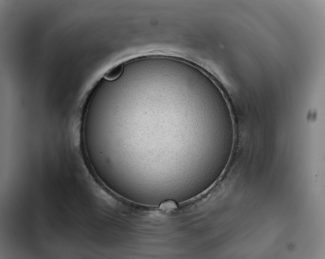 X0000103271504200809051455