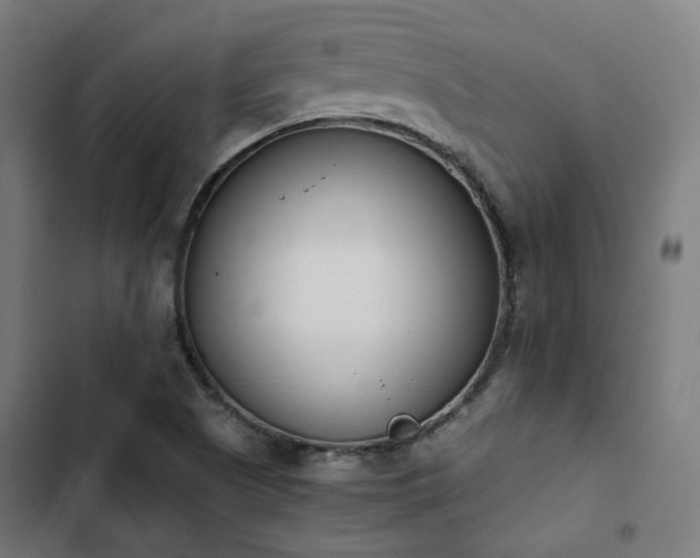 X0000103271505200809051455