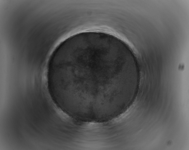 X0000103271506200809051455