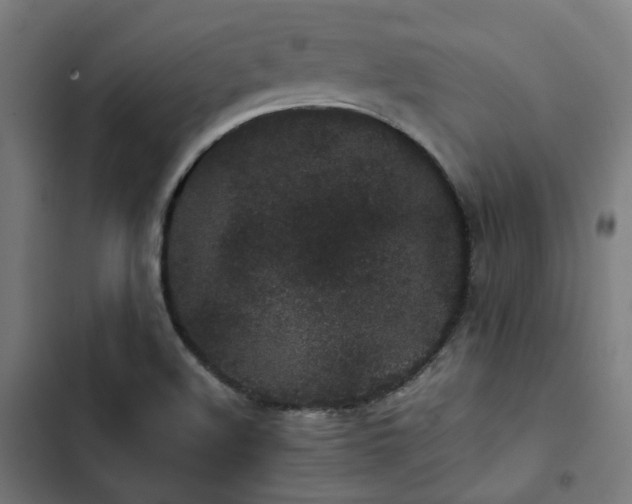 X0000103271508200809051455