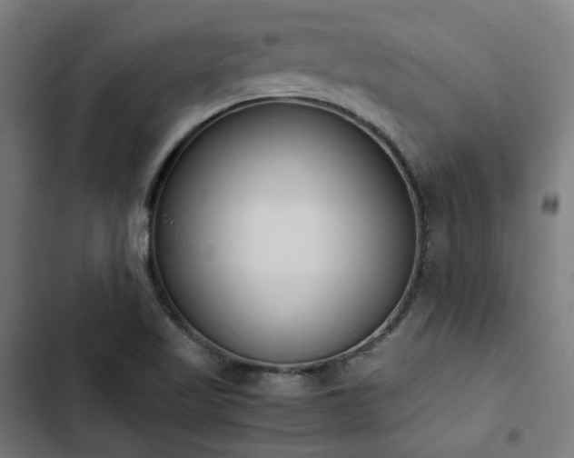 X0000103271509200809051455