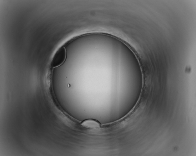 X0000103271510200809051455