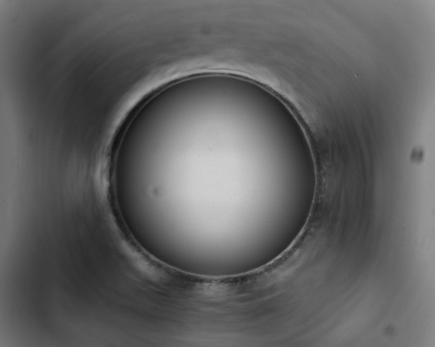 X0000103271511200809051455