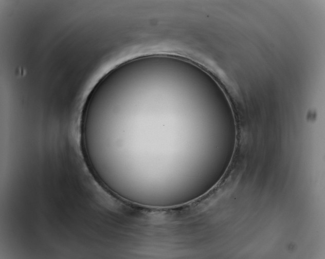 X0000103271512200809051455