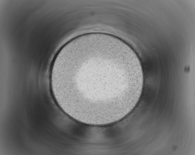 X0000103271514200809051455