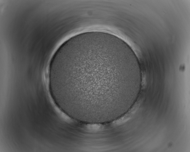 X0000103271515200809051455