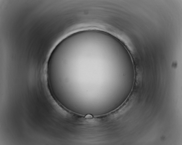 X0000103271516200809051455