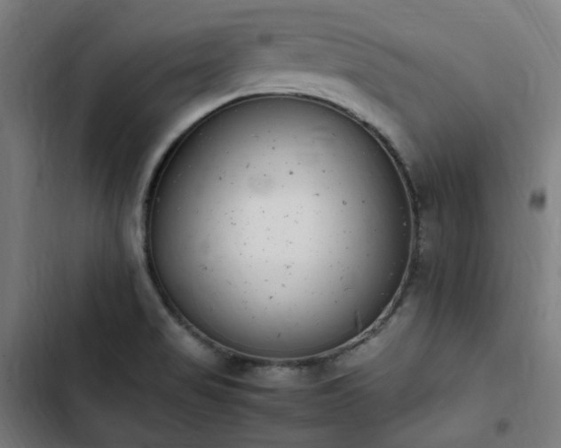 X0000103271517200809051455