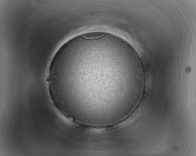 X0000103271519200809051455