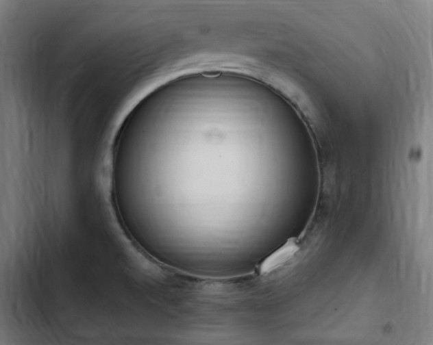 X0000103271520200809051455