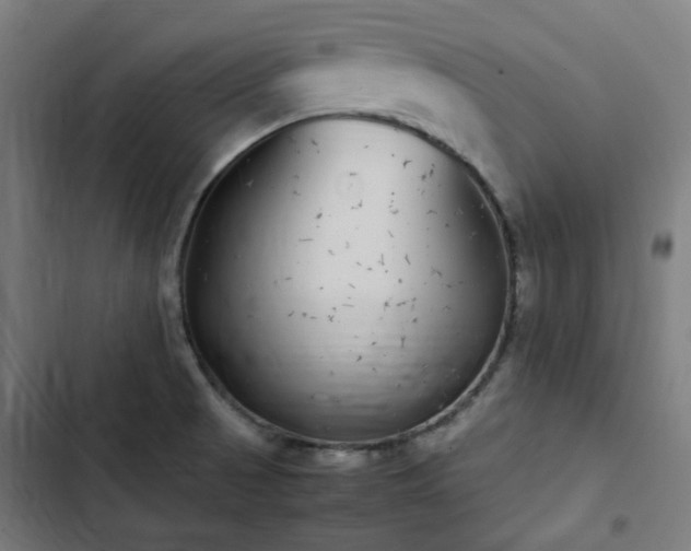 X0000103271521200809051455