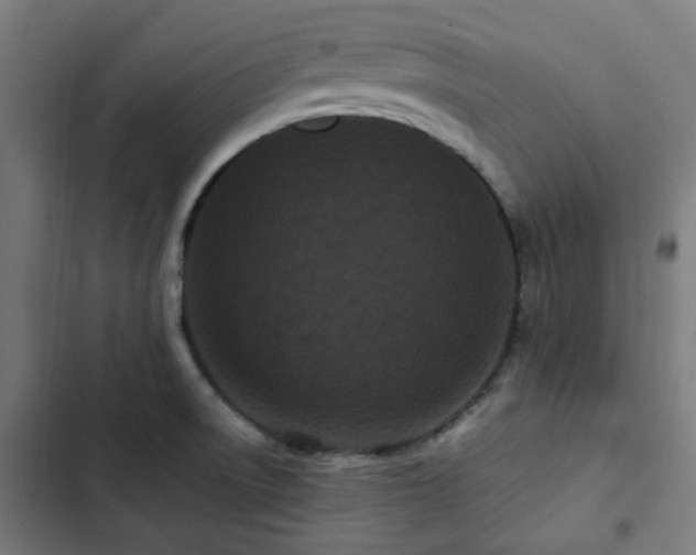 X0000103271522200809051455