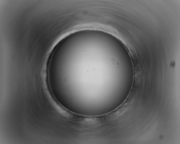 X0000103271523200809051455