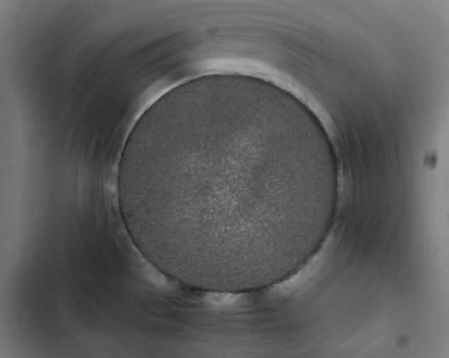 X0000103271529200809051455