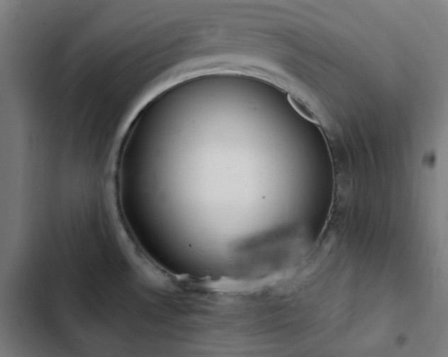 X0000103271530200809051455